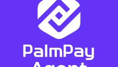 PalmPay Agent: Best Time to Be Success in Business