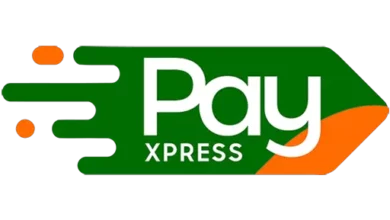 PayXpress: A Comprehensive Mobile VAS Platform